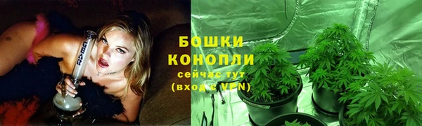 крисы Армянск