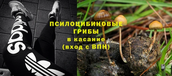 стаф Балабаново